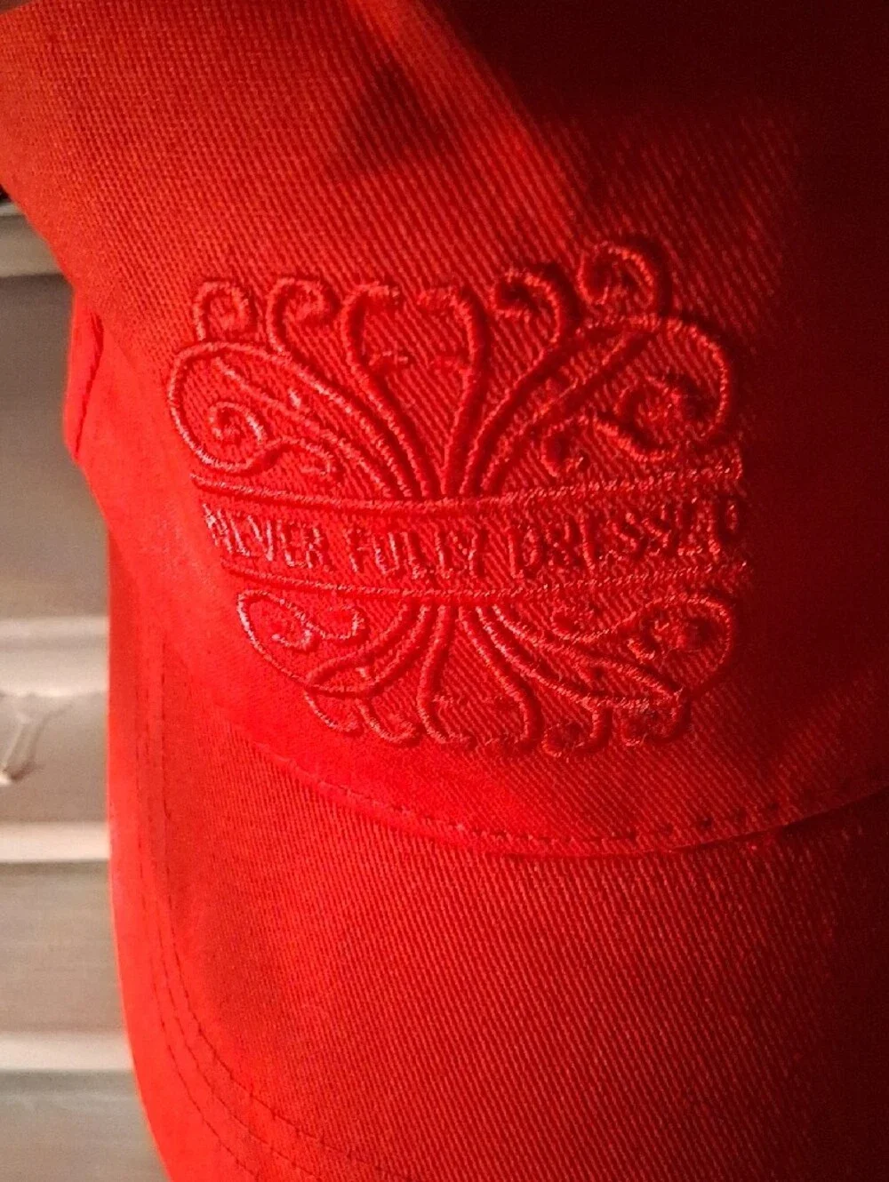 NWT - Never Fully Dressed Red Baseball Cap